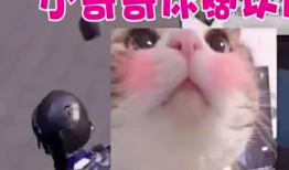 搞笑视频解说,笑点满满！搞笑视频解说大盘点